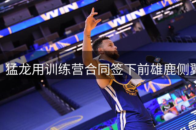 猛龙用训练营合同签下前雄鹿侧翼新星，他有机会争取到留队名额？